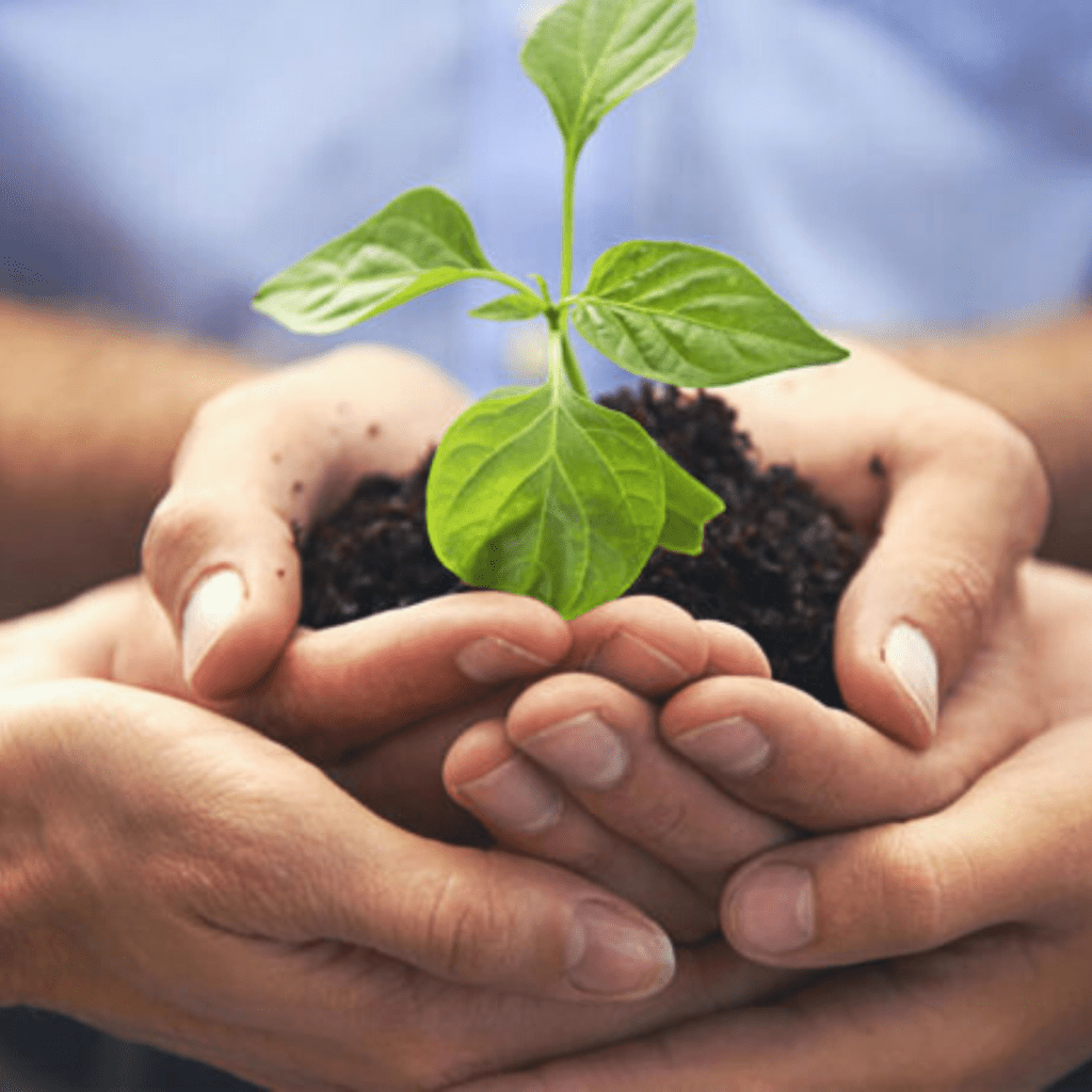 Il cappuccino con latte d'avena, chiamato avenaccino da heaven, è più buono e sostenibile rispetto al latte di mandorla, latte di riso, latte di soia.
